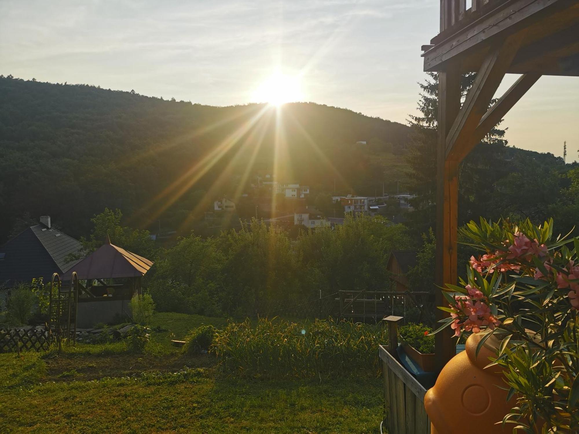 Pawlonia Trencianske Teplice